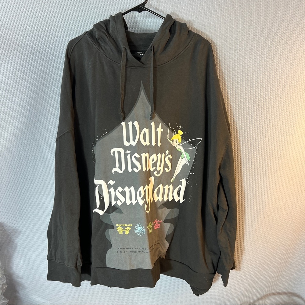 🧚Disneyland Grey Hoodie 3X